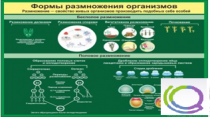 Стенд "Формы размножения организмов" - «globural.ru» - Великие Луки