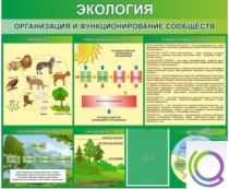 Стенд "Экология. Организация и функционирование сообществ" - «globural.ru» - Великие Луки