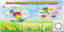 Стенд "Календарь природы" (вариант 2) - «globural.ru» - Великие Луки