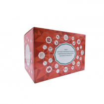 Набор для конструирования роботов с одноплатным компьютером на уроках технологии - «globural.ru» - Великие Луки