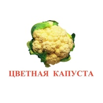 Карточки Домана "Овощи-Зелень-2" - «globural.ru» - Великие Луки