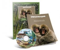Электронное наглядное пособие «Эволюция» - «globural.ru» - Великие Луки