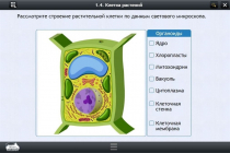 Интерактивные курсы. Биология 9 класс. Расширенный - «globural.ru» - Великие Луки