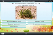 Интерактивные курсы. Окружающий мир 3 класс. Базовый - «globural.ru» - Великие Луки