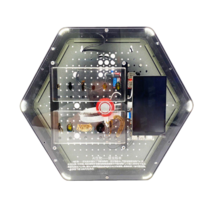 Модуль интерактивный с искусственным интеллектом "Интеллектуальная биология" - «globural.ru» - Великие Луки