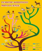 Стенд "Развитие животного мира на земле" - «globural.ru» - Великие Луки