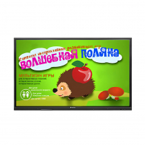 Интерактивная сенсорная панель 50" (UHD 4K) - «globural.ru» - Великие Луки