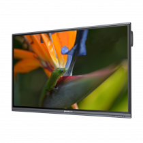 Интерактивный программно-аппаратный комплекс Geckotouch Interactive Pro IP75HT-E в комплекте с настенным креплением - «globural.ru» - Великие Луки