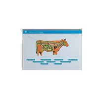 Стенд-планшет светодинамический "Изучение нервной системы сельскохозяйственных животных" со сменными панелями - «globural.ru» - Великие Луки