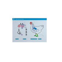 Стенд-планшет светодинамический "Изучение органов дыхания сельскохозяйственных животных" со сменными панелями - «globural.ru» - Великие Луки