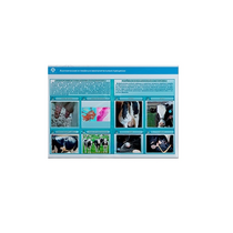 Стенд-планшет светодинамический «Изучение асептических и гнойных воспалительных процессов» - «globural.ru» - Великие Луки