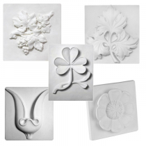 Комплект гипсовых моделей растений  - «globural.ru» - Великие Луки