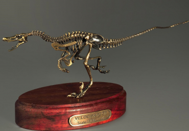 Модель скелета динозавра Velociraptor - «globural.ru» - Великие Луки
