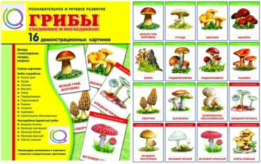 Демонстрационные карточки  "Грибы съедобные и не съедобные" - «globural.ru» - Великие Луки