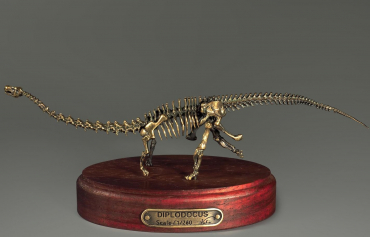 Модель скелета динозавра Diplodocus (вариант 1) - «globural.ru» - Великие Луки