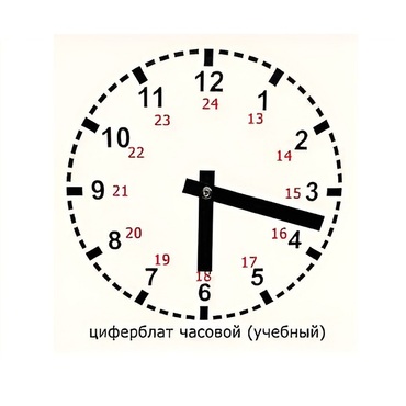 Часовой циферблат раздаточный - «globural.ru» - Великие Луки