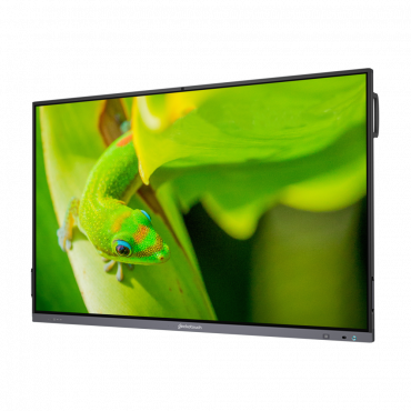 Интерактивный программно-аппаратный комплекс Geckotouch Interactive IP75GT-C в комплекте с настенным креплением - «globural.ru» - Великие Луки